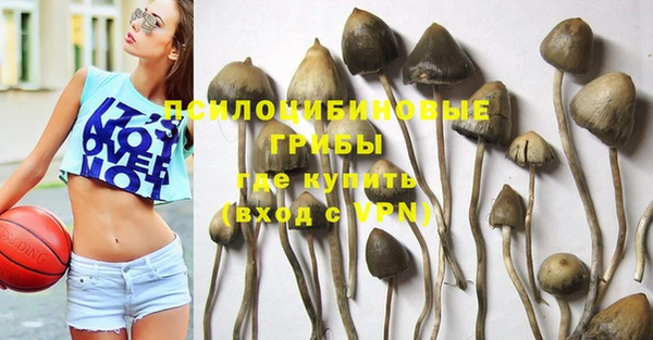 герыч Абаза