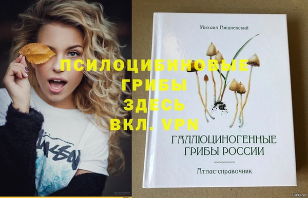 герыч Абаза